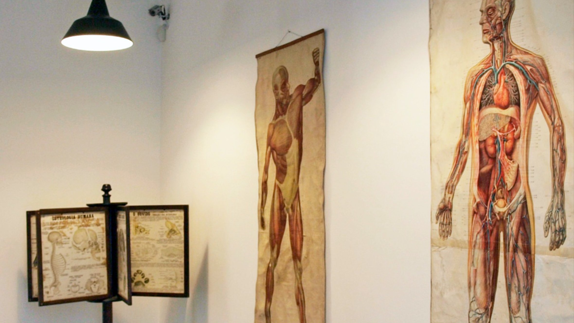 Exposição Permanente